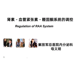 RAAS与高血压-课件.ppt