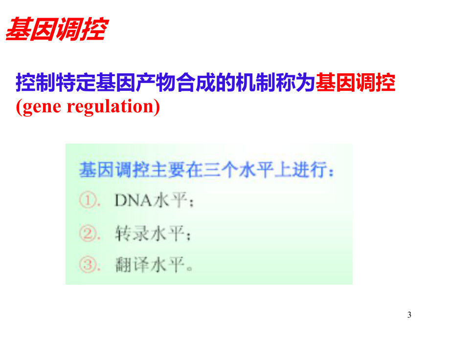 遗传学14第十四章缩略--基因表达的调控刘庆昌简要课件.ppt_第3页