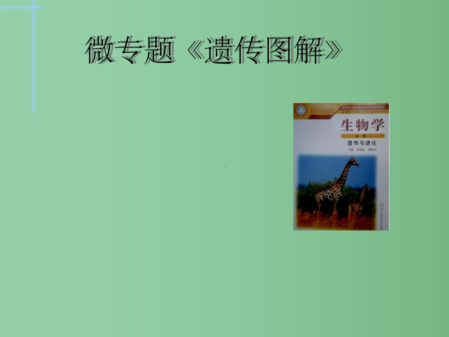 高三生物-微专题-遗传图解复习公开课课件.ppt_第1页