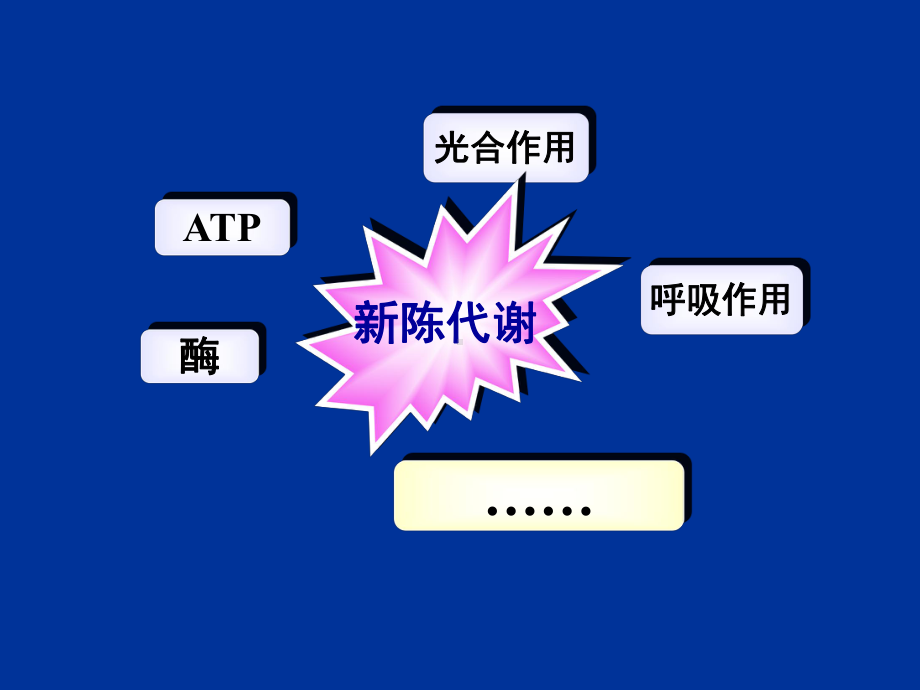 细胞代谢专题课件.ppt_第2页