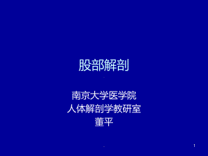 股部的解剖课件.ppt