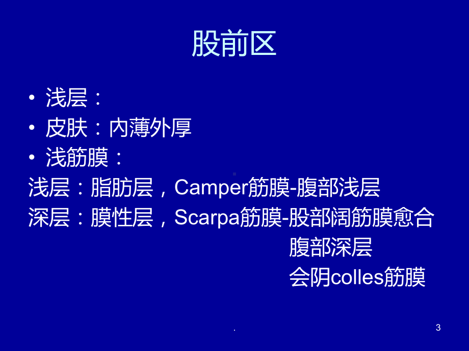 股部的解剖课件.ppt_第3页