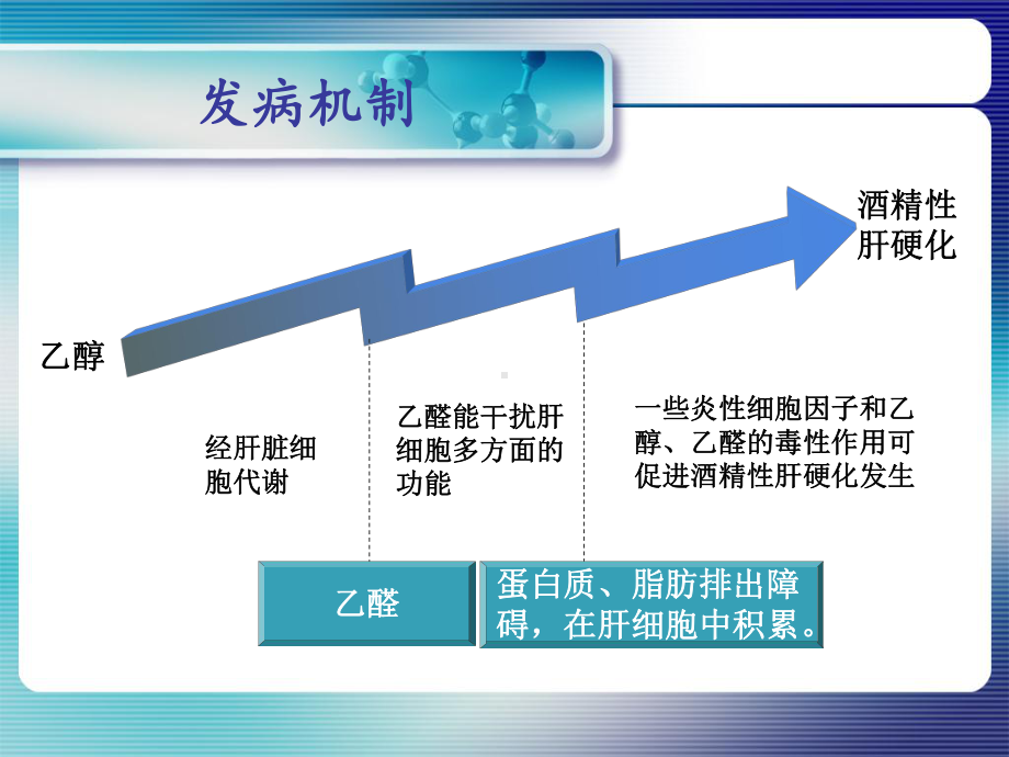 酒精性肝病一例课件.ppt_第3页