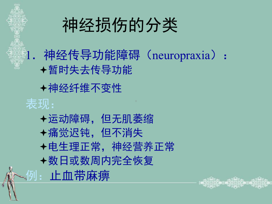 周围神经损伤教材课件.ppt_第3页