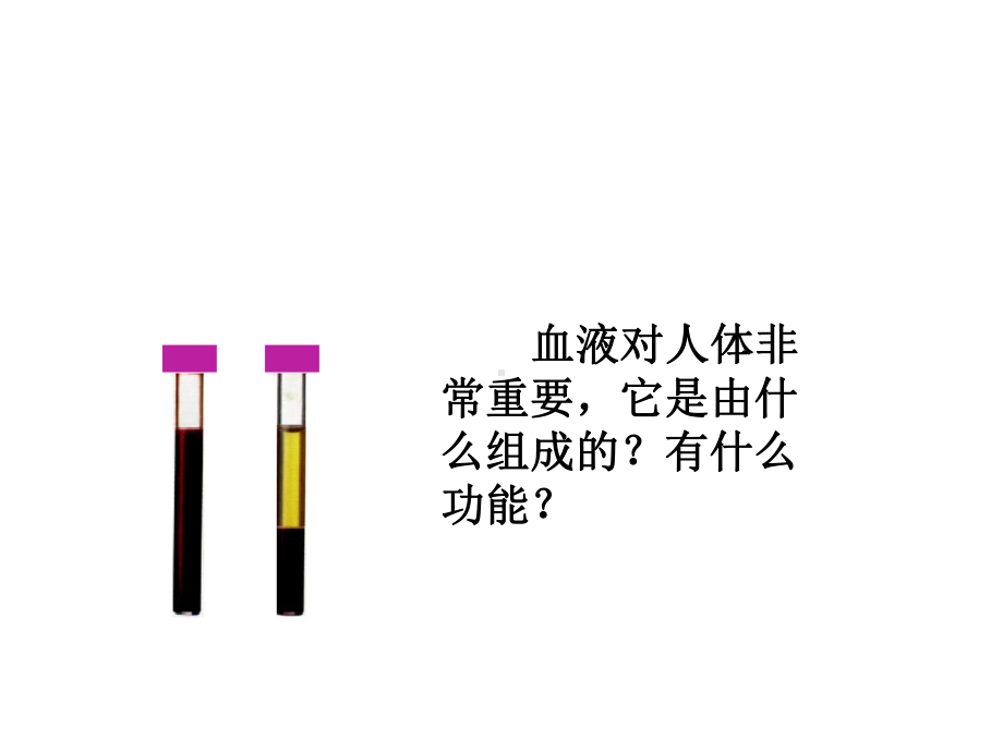 讲课用流动的组织-血液1-课件.ppt_第3页