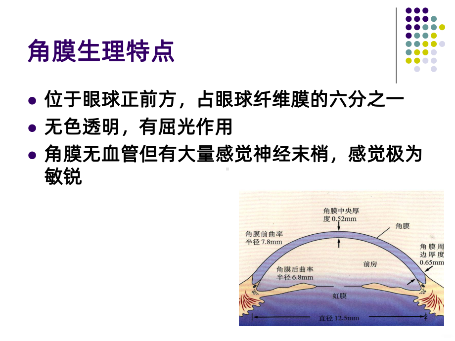 角膜与氧气课件.ppt_第2页