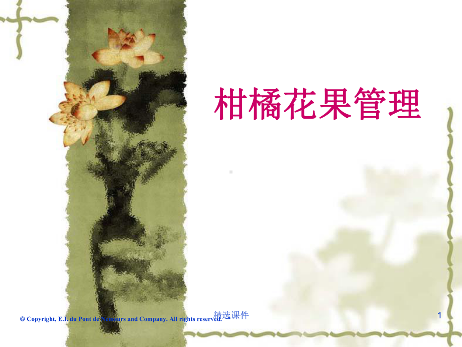 《柑橘花果管理》课件.ppt_第1页