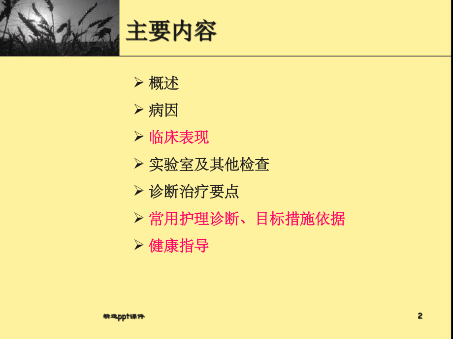 《上消化道大出血》课件.ppt_第2页