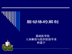 脑动脉的解剖课件.ppt