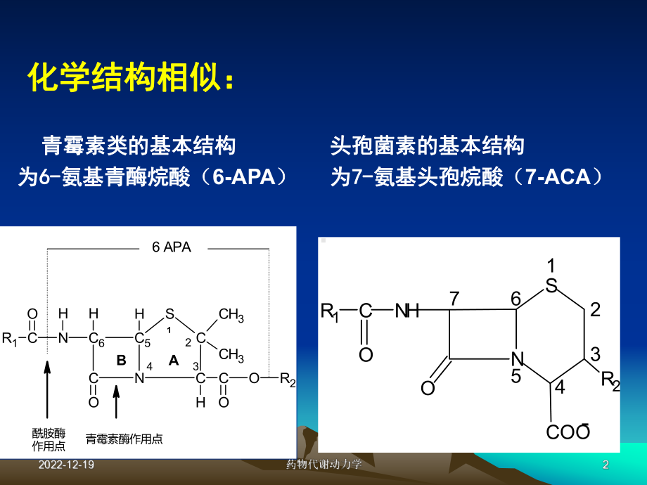 西医药理学第二十八篇-β内酰胺类抗生素课件.ppt_第2页