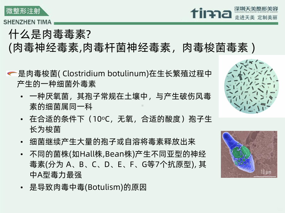 整形-注射材料简介课件.ppt_第3页