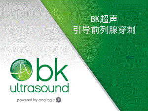 BK超声引导前列腺穿刺课件.pptx