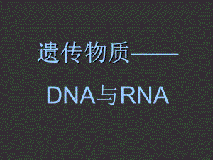 高中生物竞赛辅导课件—DNA与RNA之1.ppt