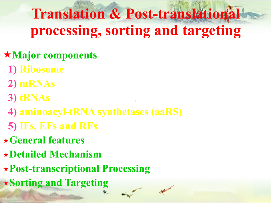 Translation&生物化学讲义课件.pptx_第1页