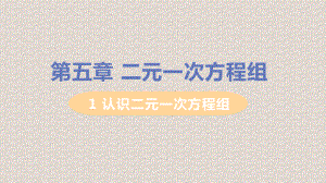 北师大版八年级上册数学第五章二元一次方程组课件.pptx