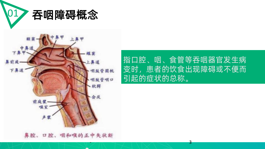 吞咽障碍课件.pptx_第3页