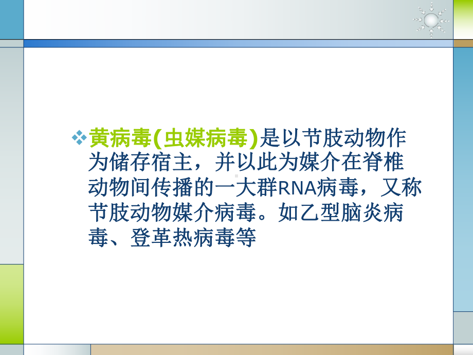 黄V出血热V疱疹V课件.ppt_第2页