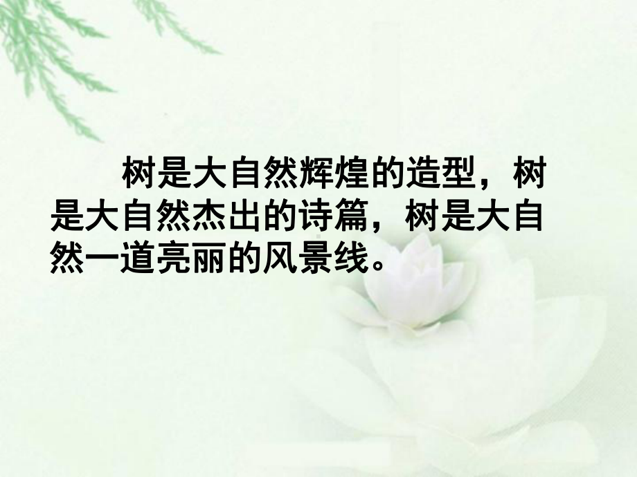 白杨礼赞第二课时课件.ppt_第2页