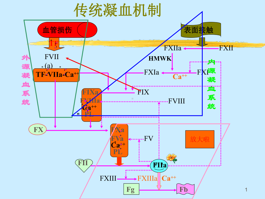 血液学检侧20111103课件.ppt_第1页