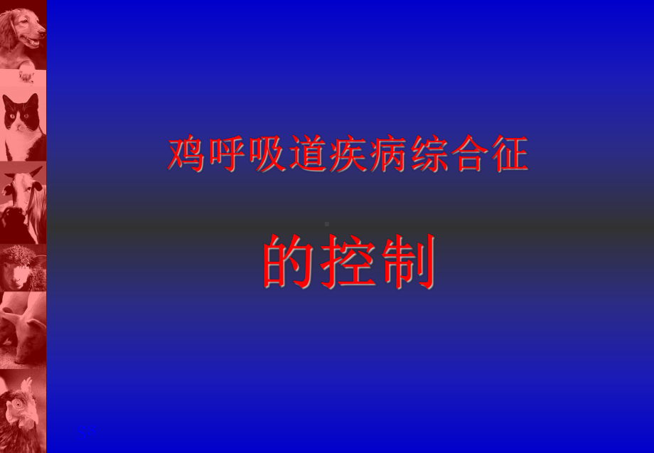 鸡的呼吸道疾病课件.ppt_第1页