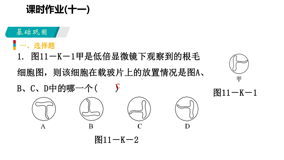 七年级科学上册第2章观察生物22细胞222认识显微镜的结构、练习使用显微镜练习课件(新版)浙教版.ppt_第3页