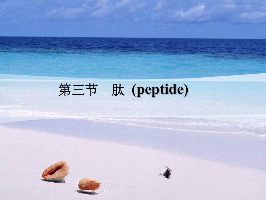 《肽的结构和功能》课件.ppt_第1页