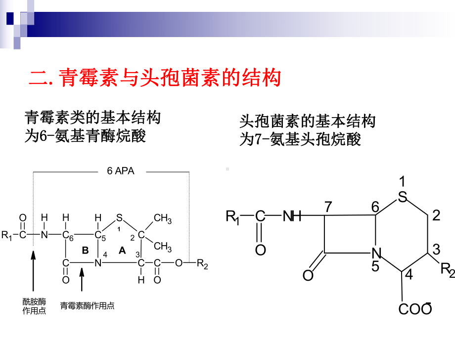 药理学-第6章-内酰胺类抗生素课件.ppt_第3页