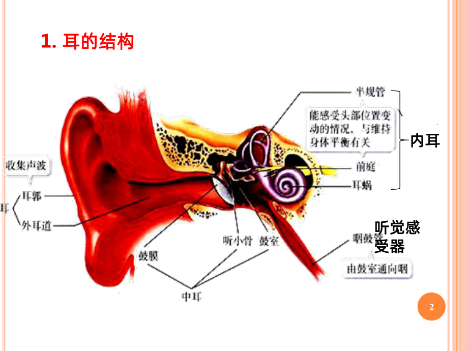 耳聋简介课件.ppt_第2页