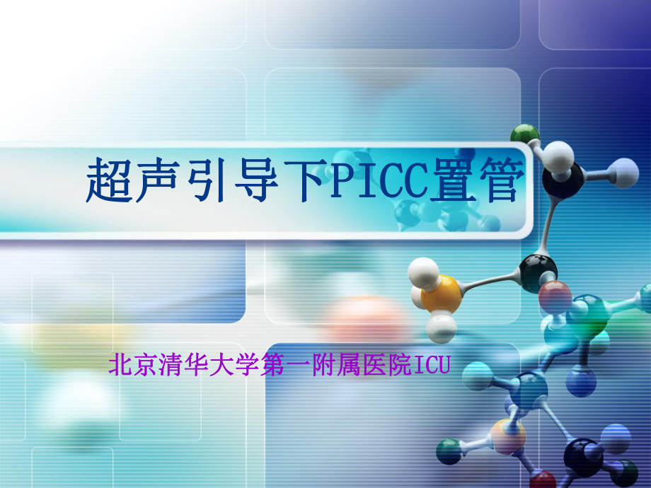 超声引导PICC置管课件.ppt_第2页