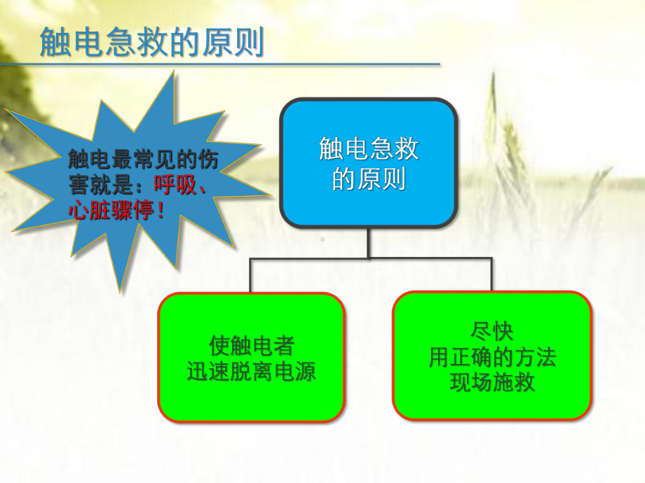 低压触电事故现场救护培训课件-.ppt_第3页