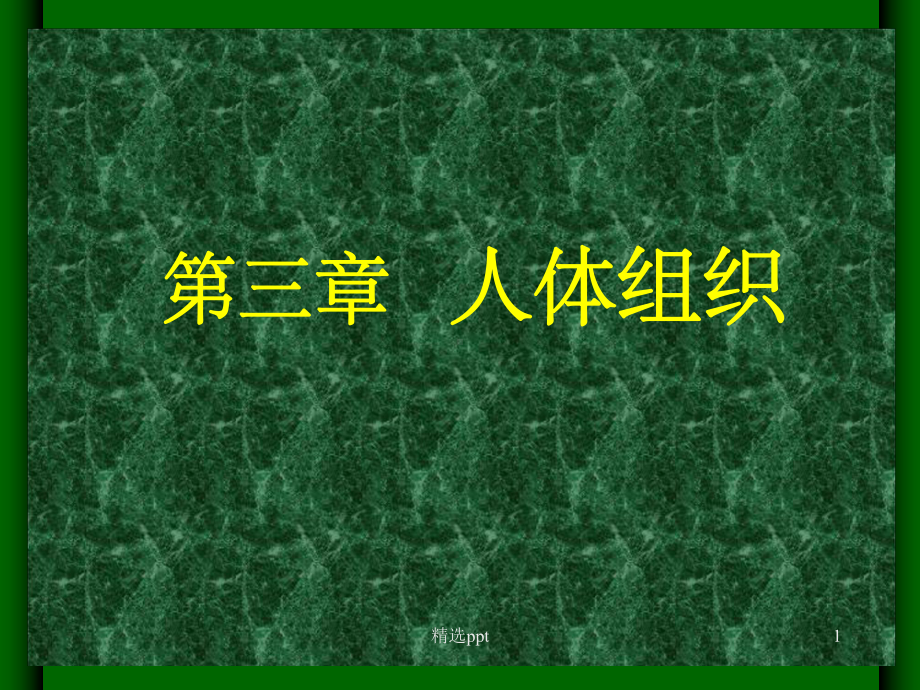 《人体组织》课件.ppt_第1页