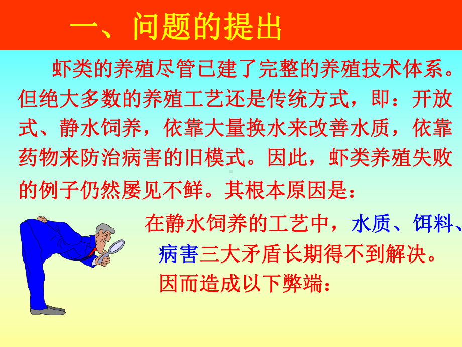 《南美白对虾的养殖》课件.ppt_第2页