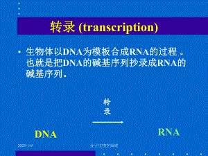 分子生物学原理RNA生物合成-课件.ppt