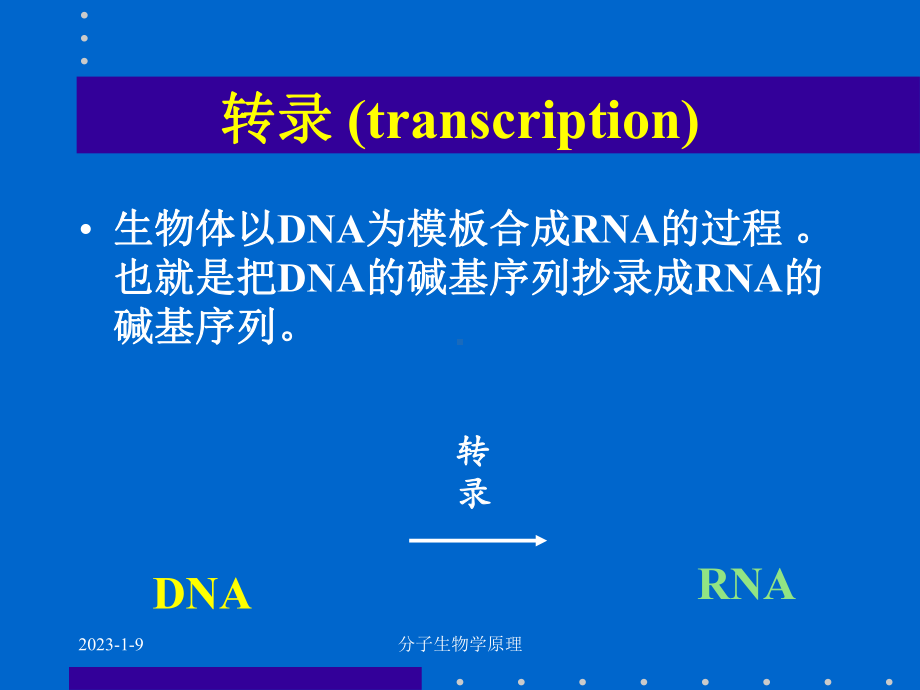 分子生物学原理RNA生物合成-课件.ppt_第1页