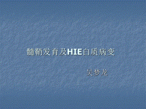 髓鞘发育及HIE白质病变课件.ppt