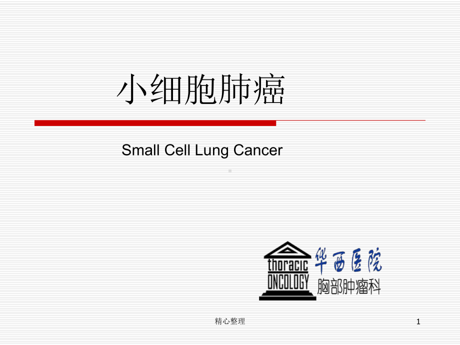 演示小细胞肺癌课件.ppt_第1页