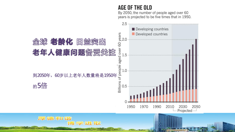 老年患者营养评估及疾病干预培训讲座课件.pptx_第3页