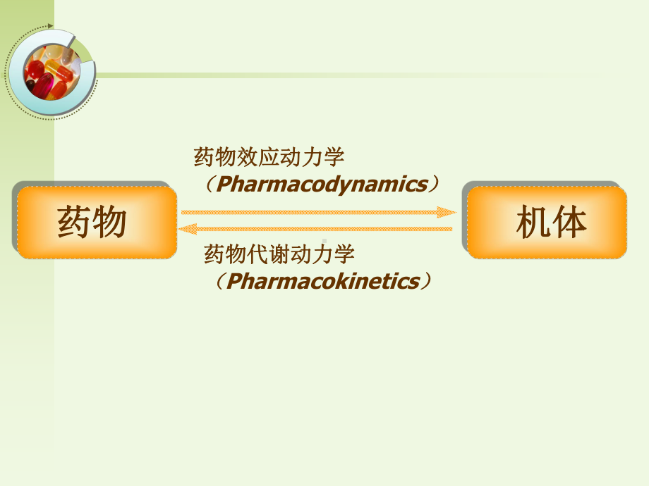 药理学概论课件.ppt_第2页