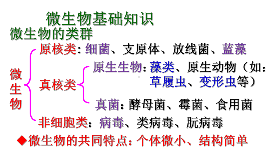 专题2课题1微生物的实验室培养课件.ppt_第2页