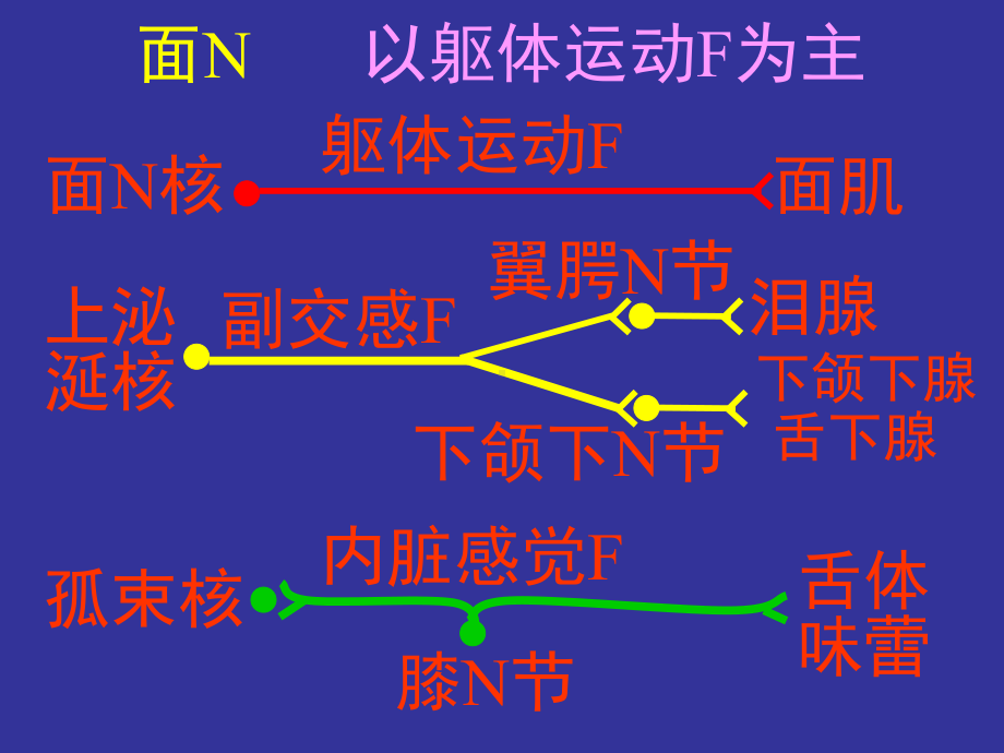 面神经麻痹-讲课稿课件.ppt_第3页