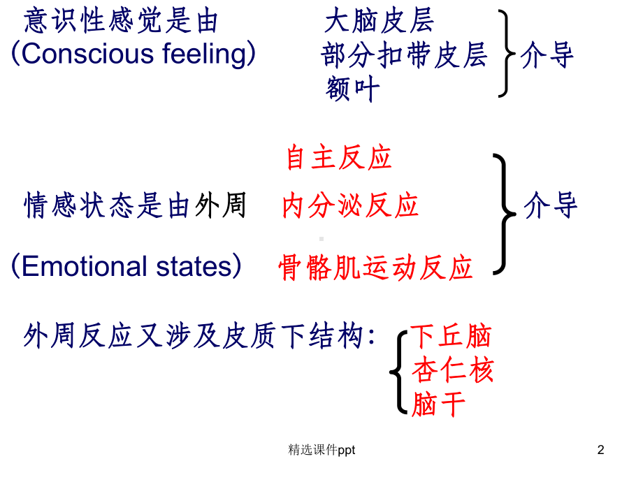 《精神情感选修》课件.ppt_第2页