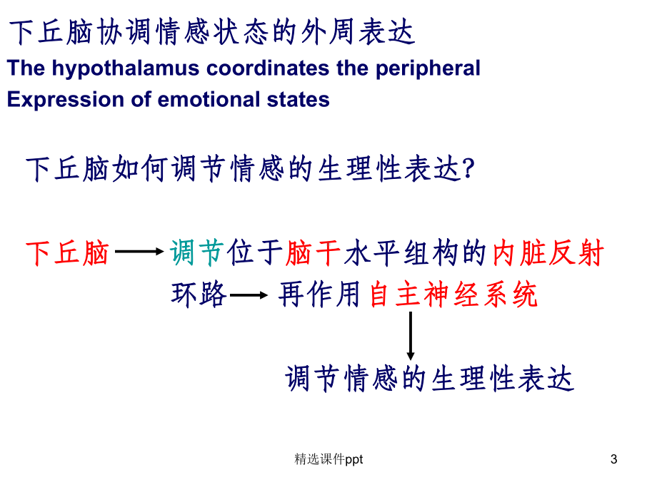 《精神情感选修》课件.ppt_第3页