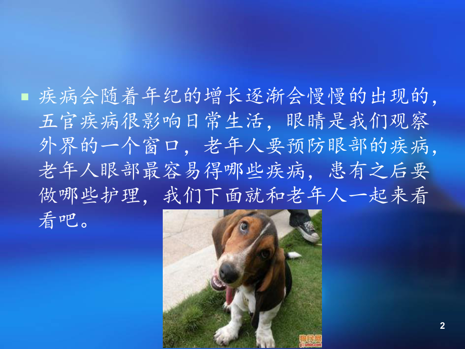 老人眼病与-叶黄素课件.ppt_第2页