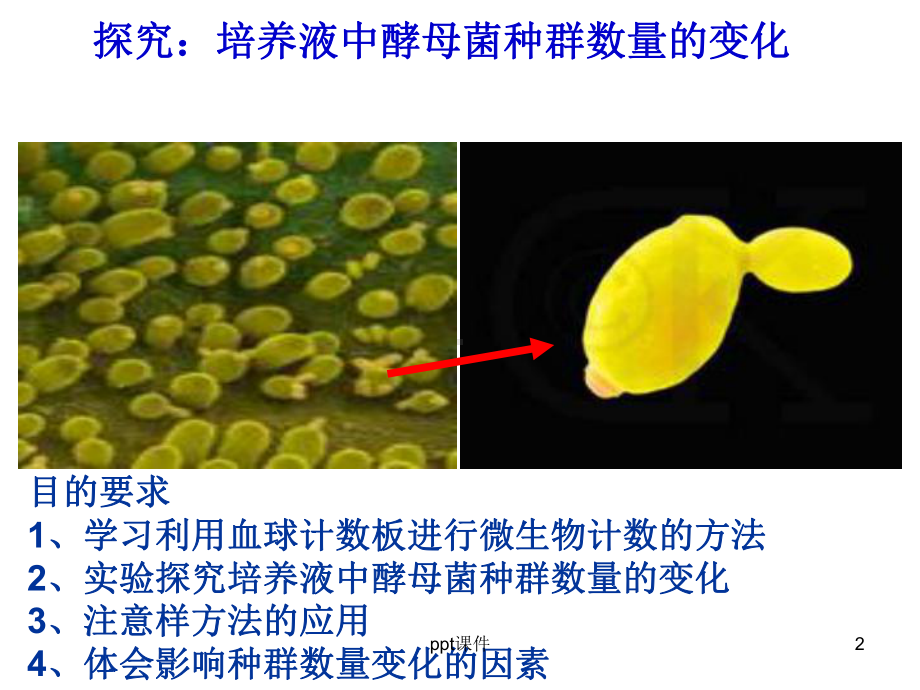 培养液中酵母菌种群数量的变化-课件.ppt_第2页