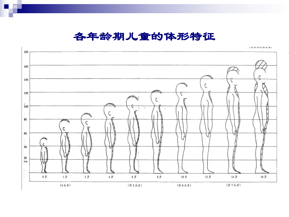 童装纸样设计课件.pptx_第3页