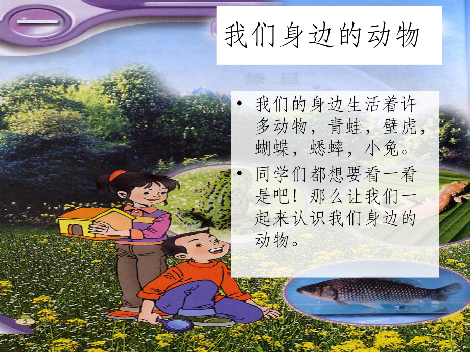 我们身边的动物课件.ppt_第1页