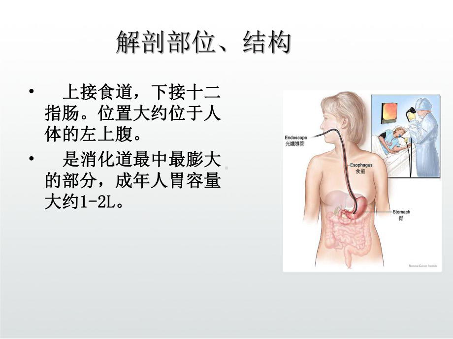 胃癌健康教育课件.ppt_第3页