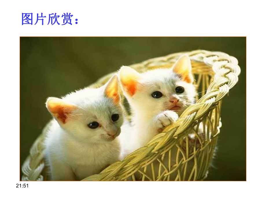 人教版七年级语文上册《猫》课件.ppt_第2页