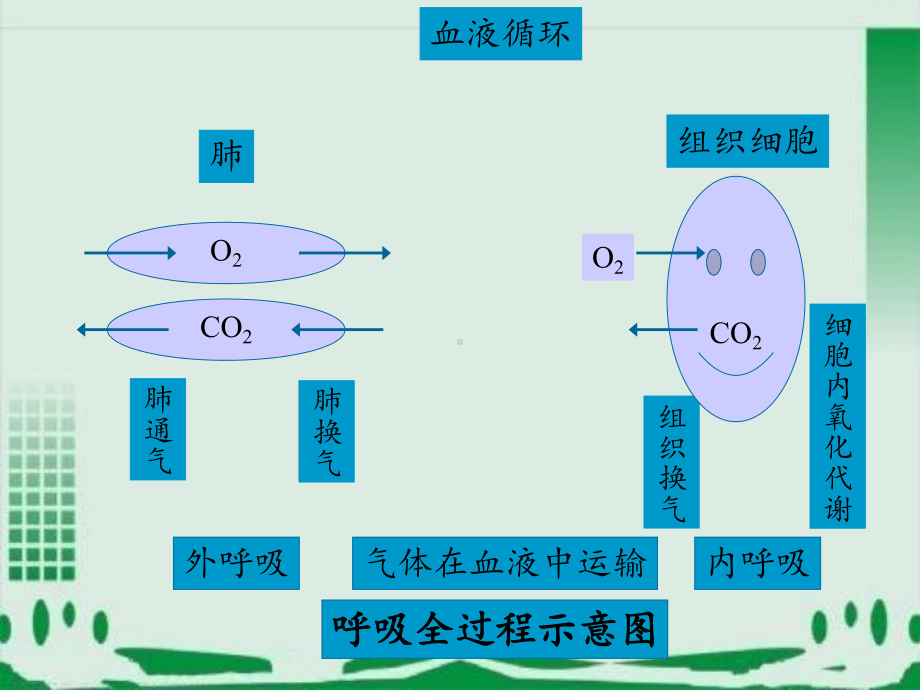 呼吸功能检测工作模板课件.ppt_第3页