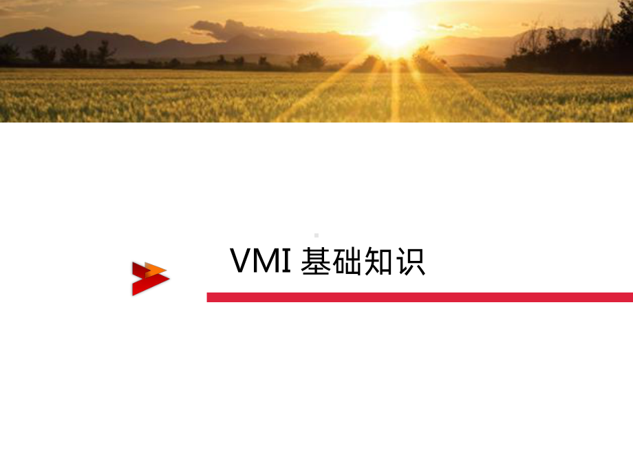 VMI-培训资料课件.pptx_第3页